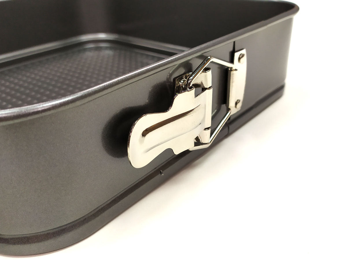Webake Square 10 Inch Springform Pan with Removable Bottom